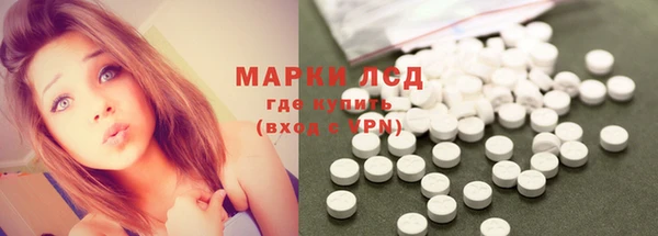 стафф Баксан