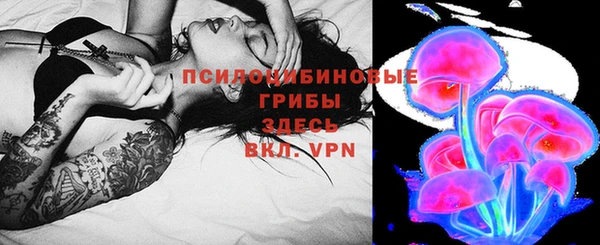 стафф Баксан